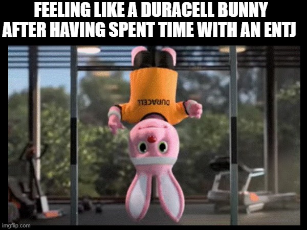 Feeling like a Duracell Bunny after having spent time with an ENTJ | FEELING LIKE A DURACELL BUNNY AFTER HAVING SPENT TIME WITH AN ENTJ | image tagged in entj,mbti | made w/ Imgflip meme maker