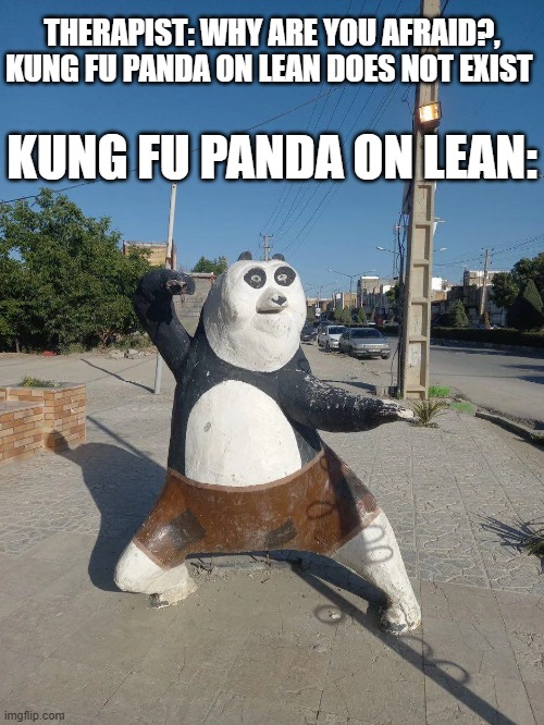 That ain't Kung Fu Panda, that's Muay Thai Grizzly!! | THERAPIST: WHY ARE YOU AFRAID?, KUNG FU PANDA ON LEAN DOES NOT EXIST; KUNG FU PANDA ON LEAN: | image tagged in wtf,kung fu panda,ayo,oh my goodness | made w/ Imgflip meme maker