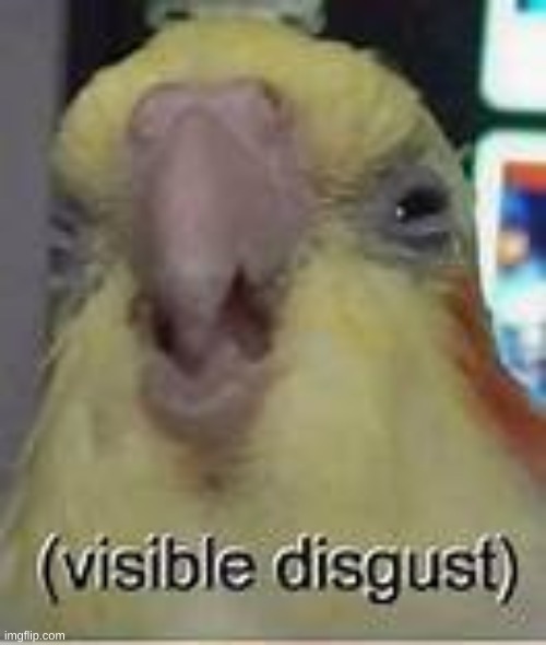 Visible disgust | image tagged in visible disgust | made w/ Imgflip meme maker