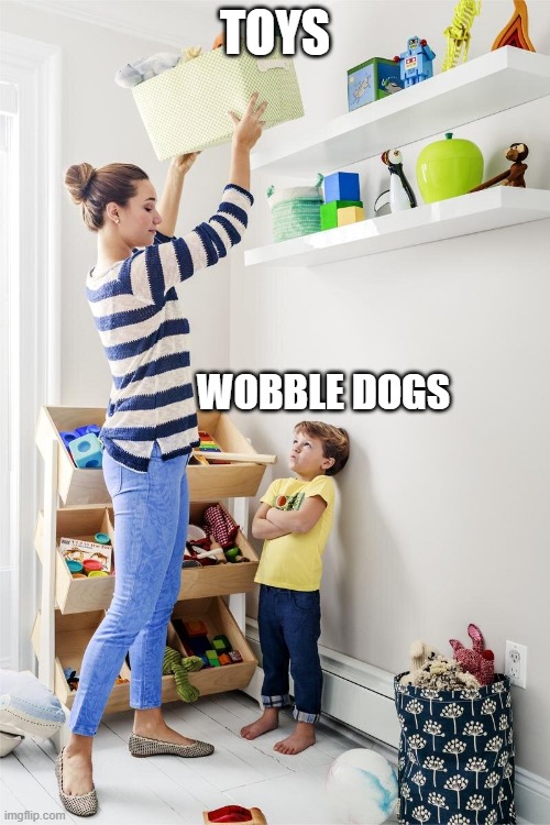 Mom putting toys on the top shelf | TOYS; WOBBLE DOGS | image tagged in mom putting toys on the top shelf | made w/ Imgflip meme maker