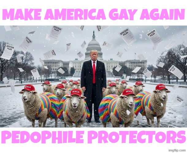 PEDOPHILE PROTECTORS | MAKE AMERICA GAY AGAIN; PEDOPHILE PROTECTORS | image tagged in trump,maga,pedophile,child molester,sexual assault,jeffrey epstein | made w/ Imgflip meme maker