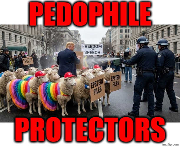 MAGA THE PEDOPHILE PROTECTORS | PEDOPHILE; PROTECTORS | image tagged in trump,maga,jeffrey epstein,sexual assault,child molester,pedophile | made w/ Imgflip meme maker