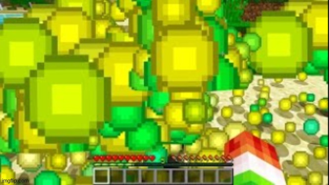 minecaft xp | image tagged in minecaft xp | made w/ Imgflip meme maker