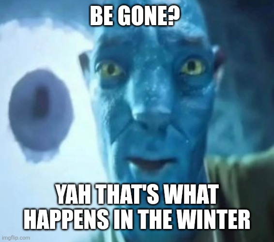 bees | BE GONE? YAH THAT'S WHAT HAPPENS IN THE WINTER | image tagged in avatar guy | made w/ Imgflip meme maker