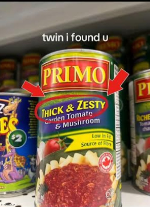 new temp | image tagged in twin i found you | made w/ Imgflip meme maker