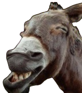 donkey boi Meme Template