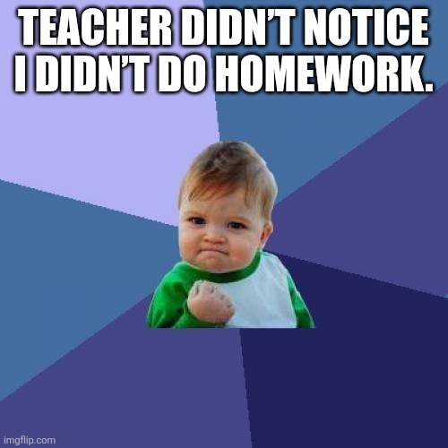 Success Kid Meme | TEACHER DIDN’T NOTICE I DIDN’T DO HOMEWORK. | image tagged in memes,success kid | made w/ Imgflip meme maker