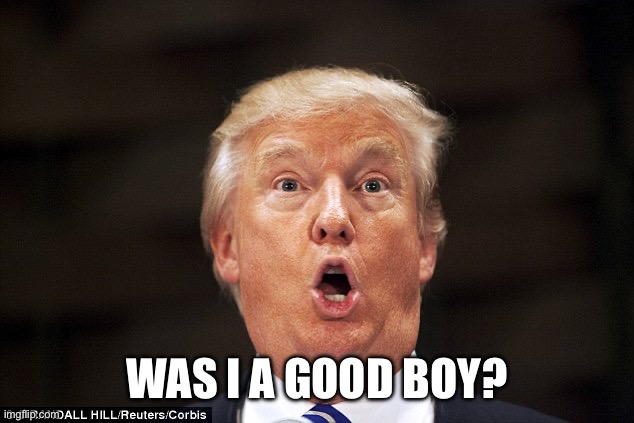 Trump stupid face | WAS I A GOOD BOY? | image tagged in trump stupid face | made w/ Imgflip meme maker