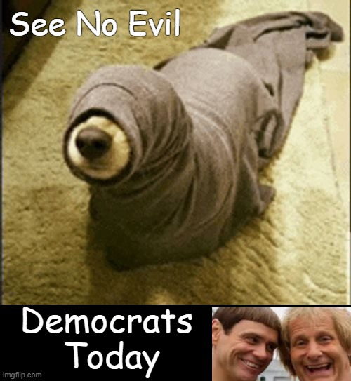 Ignoring Fraud, Waste & So Much Abuse | See No Evil; Democrats 
Today | image tagged in democrat party,disgusting,blind,evil,scammers,fraud waste abuse | made w/ Imgflip meme maker