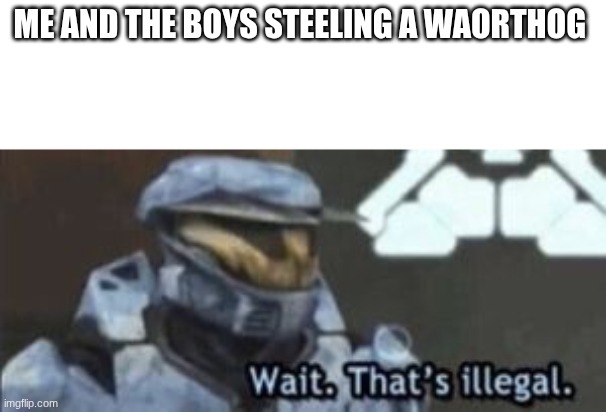 wait. that's illegal | ME AND THE BOYS STEELING A WAORTHOG | image tagged in wait that's illegal | made w/ Imgflip meme maker
