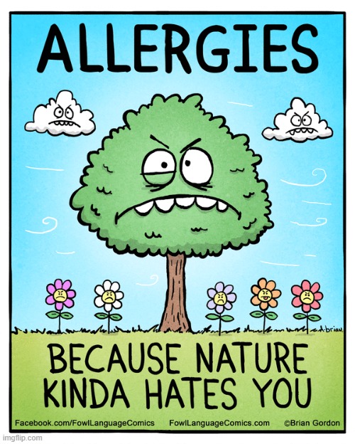 Fowl Language | image tagged in comics | made w/ Imgflip meme maker