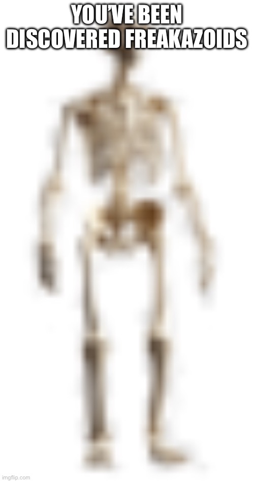 Also got any art tips for correct human body proportions? Im shitty at art | YOU’VE BEEN DISCOVERED FREAKAZOIDS | image tagged in high quality skeleton | made w/ Imgflip meme maker