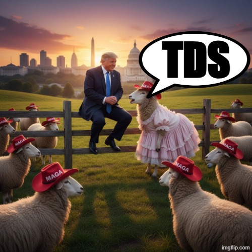 WHAT IS TDS? | TDS | image tagged in cowboy wisdom,cowboy father and son,trump,maga,tds,trump derangement syndrome | made w/ Imgflip meme maker