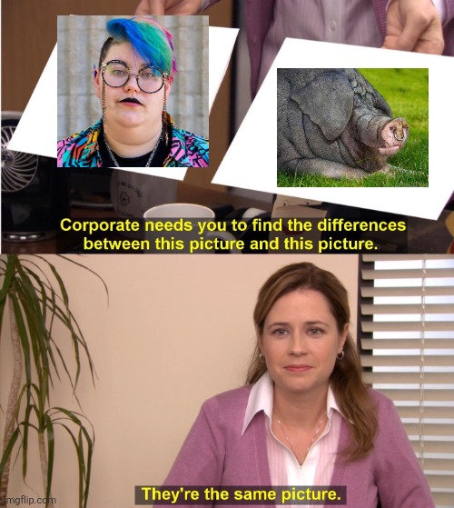 Liberal lunatics | image tagged in memes,they're the same picture | made w/ Imgflip meme maker