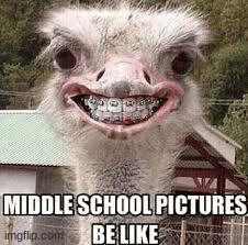 image tagged in gifs | made w/ Imgflip images-to-gif maker