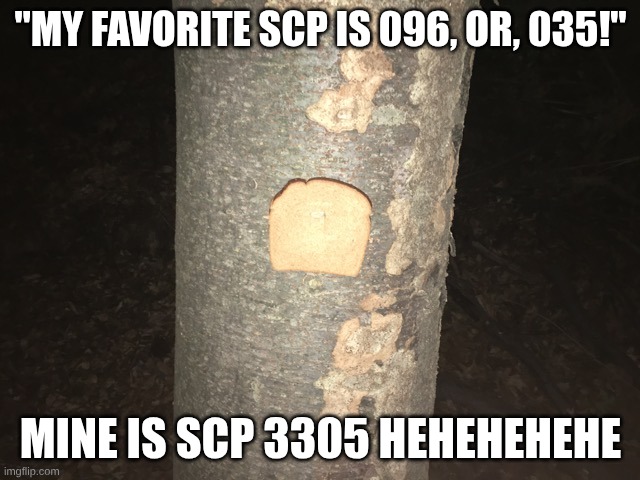 hehehehehehehehehehehehhhhhhhheeeeeeeeeeeehhheheeeehehehehhehehe | "MY FAVORITE SCP IS 096, OR, 035!"; MINE IS SCP 3305 HEHEHEHEHE | image tagged in tree,scp | made w/ Imgflip meme maker