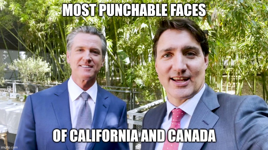 Justin Trudeau and Gavin Newsom | MOST PUNCHABLE FACES; OF CALIFORNIA AND CANADA | image tagged in justin trudeau and gavin newsom | made w/ Imgflip meme maker