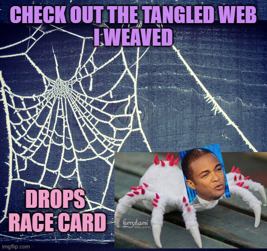 Spider web | CHECK OUT THE TANGLED WEB
I WEAVED DROPS 
RACE CARD | image tagged in spider web | made w/ Imgflip meme maker