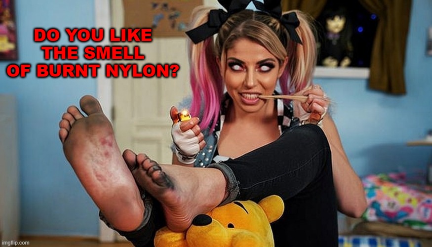 Welcome to the Firefly Fun House with Alexa Bliss! | DO YOU LIKE THE SMELL OF BURNT NYLON? | made w/ Imgflip meme maker