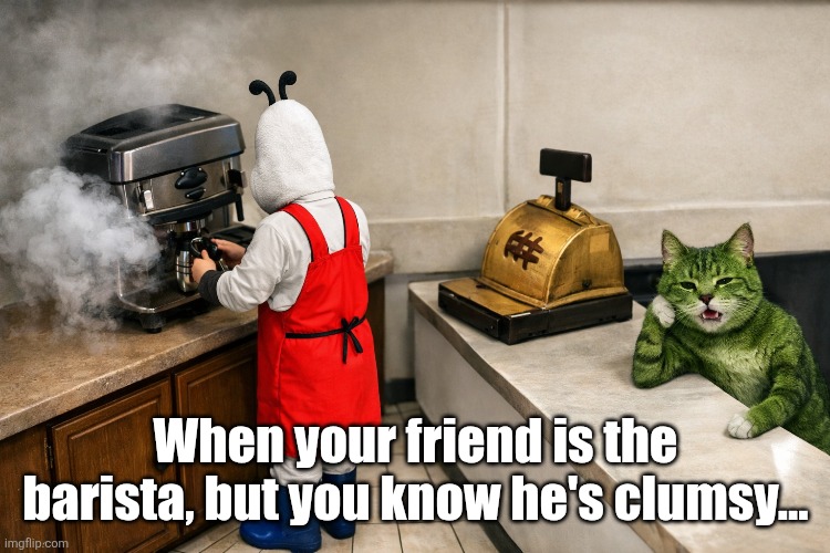 Hodog the barista & Takku the customer | When your friend is the barista, but you know he's clumsy... | image tagged in hodogandtakku,barista,humor,cat,dog | made w/ Imgflip meme maker