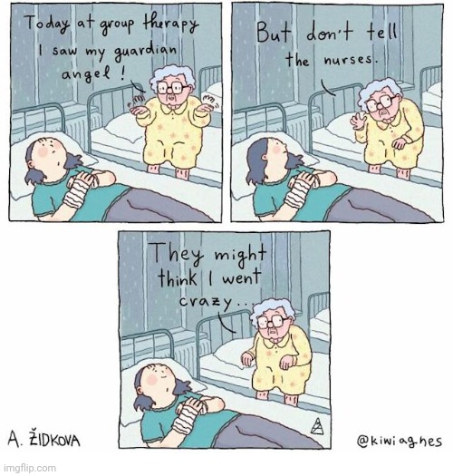 Guardian angel | image tagged in guardian angel,mental hospital,group therapy,crazy,comics,comics/cartoons | made w/ Imgflip meme maker