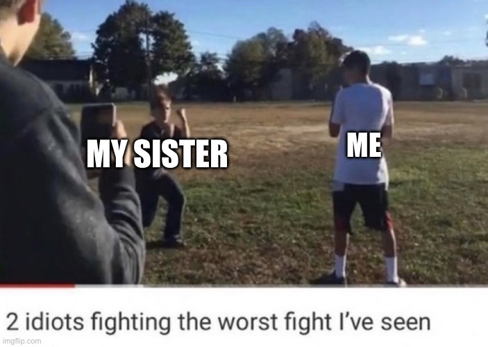 two idiots fighting | MY SISTER; ME | image tagged in two idiots fighting | made w/ Imgflip meme maker