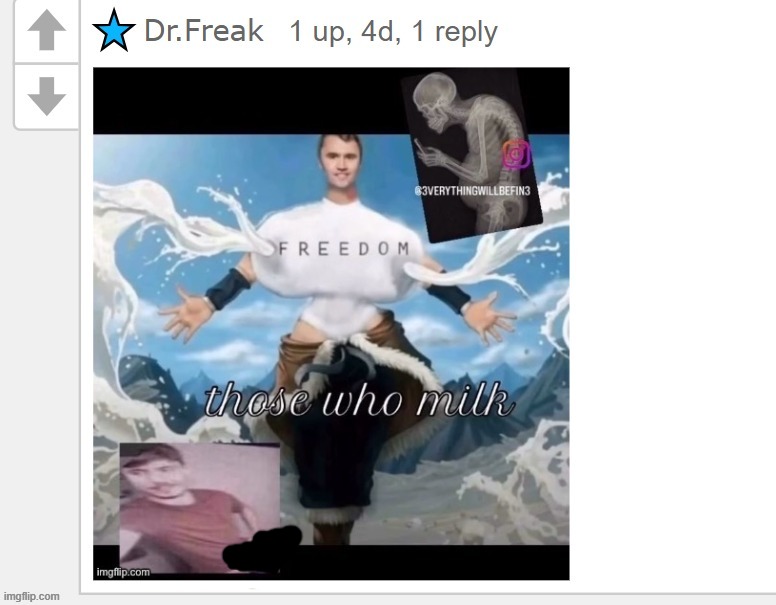 yo toady what the fuck | made w/ Imgflip meme maker