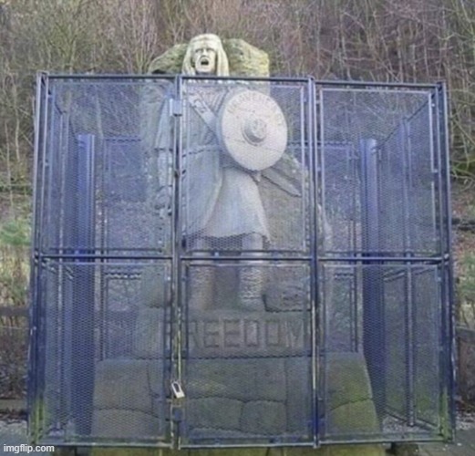 freedom | image tagged in what | made w/ Imgflip meme maker