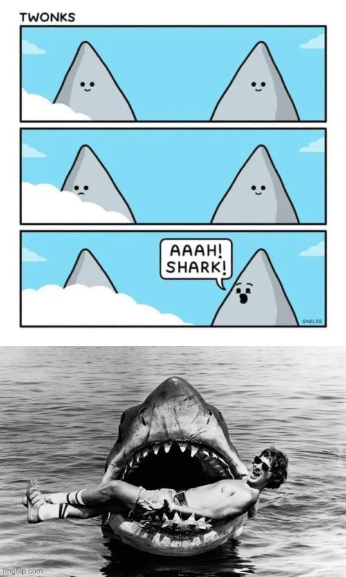 A JAWS moment | image tagged in steven spielberg,dark humor,comic,memes,shark,mountains | made w/ Imgflip meme maker