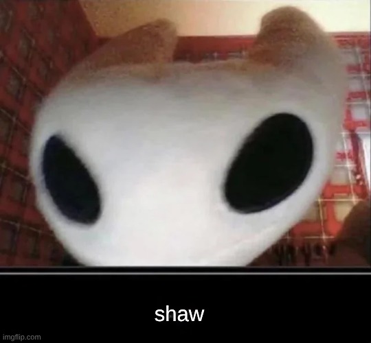 shaw | shaw | image tagged in shaw | made w/ Imgflip meme maker