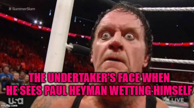 undertaker | THE UNDERTAKER'S FACE WHEN HE SEES PAUL HEYMAN WETTING HIMSELF | image tagged in undertaker | made w/ Imgflip meme maker