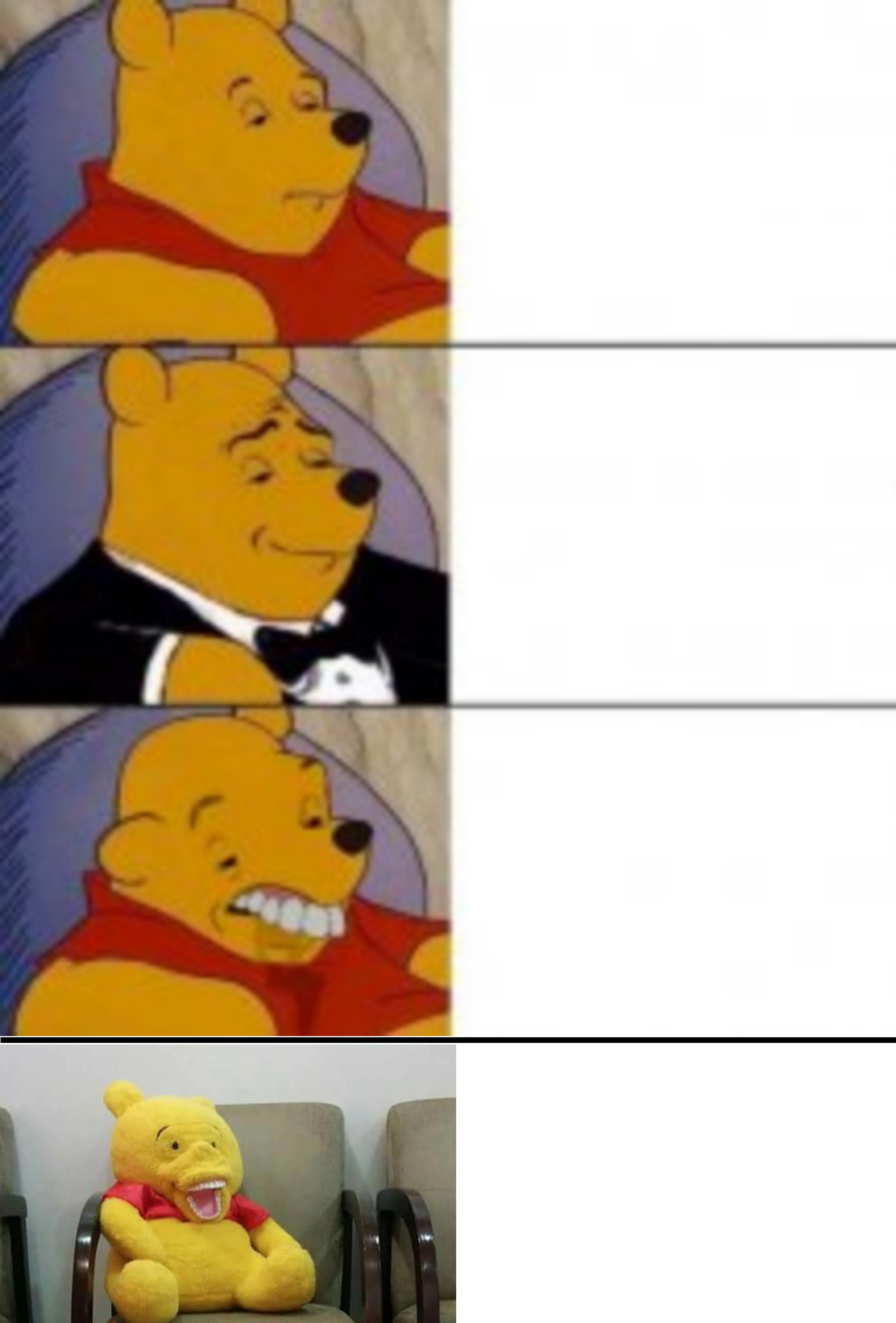 Pooh'd my pants Blank Meme Template