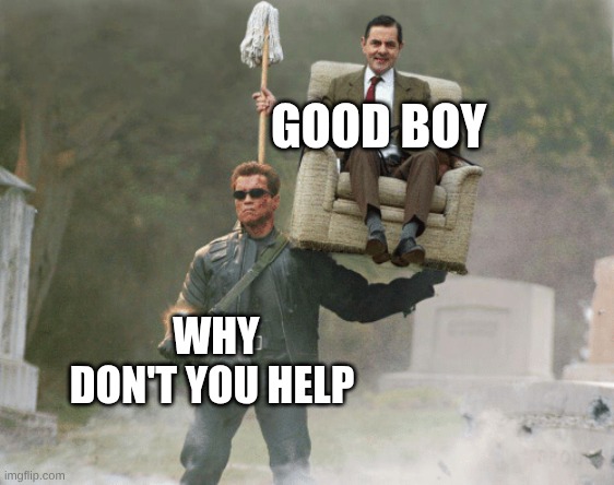 Arnold Schwarzenegger Mr. Bean | GOOD BOY; WHY DON'T YOU HELP | image tagged in arnold schwarzenegger mr bean | made w/ Imgflip meme maker