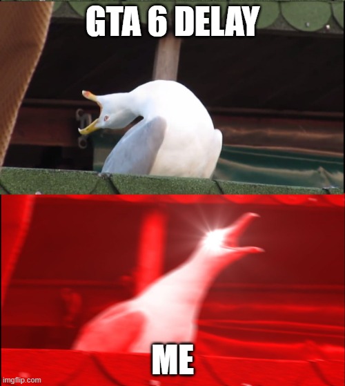 Screaming goose | GTA 6 DELAY; ME | image tagged in screaming goose | made w/ Imgflip meme maker