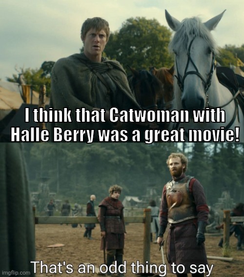 Even "the plot" couldn't save that one! | I think that Catwoman with Halle Berry was a great movie! | image tagged in dc comics,hbo max | made w/ Imgflip meme maker