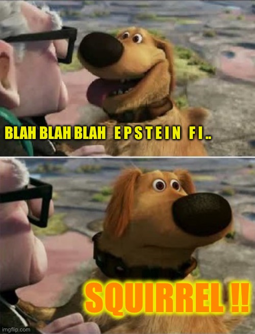 distracted by squirrel | BLAH BLAH BLAH   E P S T E I N   F I .. SQUIRREL !! | image tagged in distracted by squirrel | made w/ Imgflip meme maker
