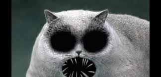 My cute pet Blank Meme Template