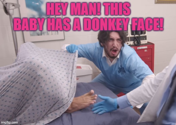 Pregnant fight by Brandon Rogers | HEY MAN! THIS BABY HAS A DONKEY FACE! | image tagged in pregnant fight by brandon rogers | made w/ Imgflip meme maker