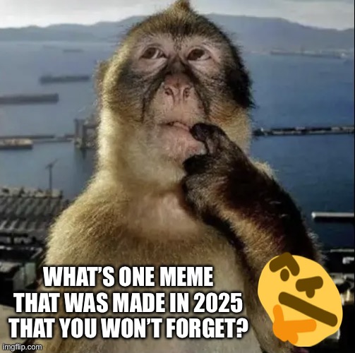 Nah but actually what you picking? | WHAT’S ONE MEME THAT WAS MADE IN 2025 THAT YOU WON’T FORGET? | image tagged in monkey thinking,funny memes,memes,gifs,2025,funny | made w/ Imgflip meme maker