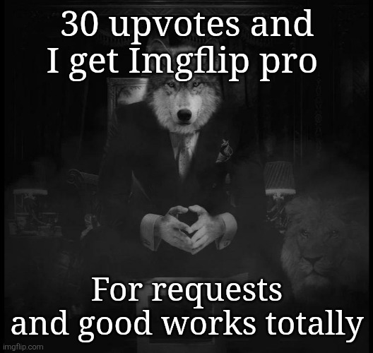 Wolf on a chair | 30 upvotes and I get Imgflip pro; For requests and good works totally | image tagged in wolf on a chair | made w/ Imgflip meme maker