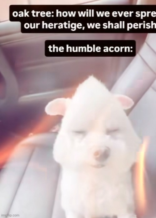 Gimme my owner back here emosnake | made w/ Imgflip meme maker