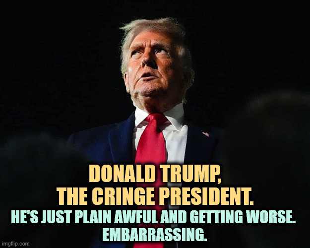 Trump, the Cringe President. Just plain awful. | DONALD TRUMP,
THE CRINGE PRESIDENT. HE'S JUST PLAIN AWFUL AND GETTING WORSE. 
EMBARRASSING. | image tagged in trump the cringe president just plain awful,trump,cringe,awful,embarrassing | made w/ Imgflip meme maker