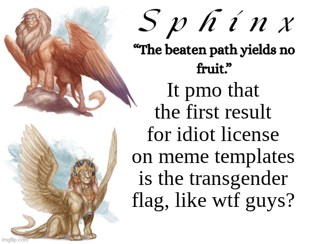 Anyway, goodbye. | It pmo that the first result for idiot license on meme templates is the transgender flag, like wtf guys? | image tagged in spinx aka erocitnam | made w/ Imgflip meme maker