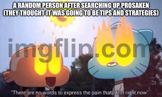 Idk | A RANDOM PERSON AFTER SEARCHING UP PROSAKEN (THEY THOUGHT IT WAS GOING TO BE TIPS AND STRATEGIES) | image tagged in there are no words to express the pain that i feel right now,my eyes | made w/ Imgflip meme maker