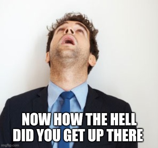Guy looking up | NOW HOW THE HELL DID YOU GET UP THERE | image tagged in guy looking up | made w/ Imgflip meme maker