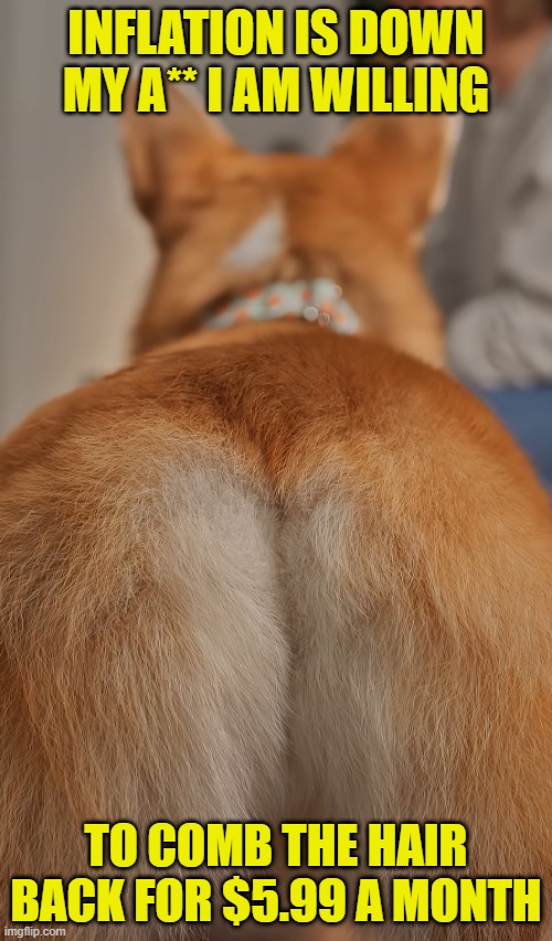 They are lying about the numbers | INFLATION IS DOWN MY A** I AM WILLING; TO COMB THE HAIR BACK FOR $5.99 A MONTH | image tagged in inflation,economy,stock market,bubble,stock crash,crash | made w/ Imgflip meme maker