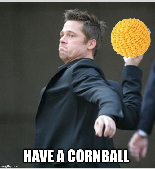 Brad Pitt throwing phone | HAVE A CORNBALL | image tagged in brad pitt throwing phone | made w/ Imgflip meme maker
