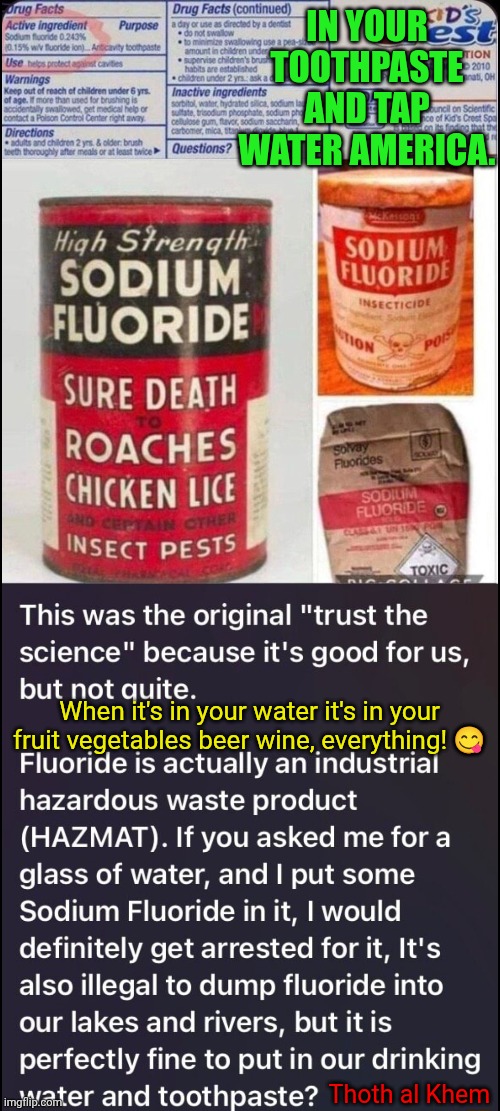 SODIUM FLUORIDE LOWERS IQ | IN YOUR TOOTHPASTE AND TAP WATER AMERICA. When it's in your water it's in your fruit vegetables beer wine, everything! 😋; Thoth al Khem | image tagged in what does iq even mean,fluoride causes cancer faster than any chemical,mass poisoning in the usa,prozac is sodium fluoride | made w/ Imgflip meme maker