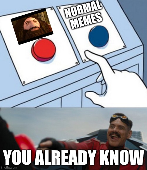 hagrid button | NORMAL MEMES; YOU ALREADY KNOW | image tagged in dr eggman,hagrid | made w/ Imgflip meme maker