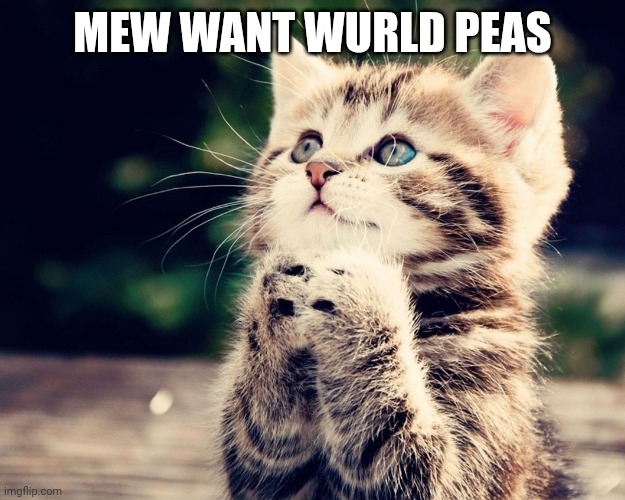Kitten Can I Haz | MEW WANT WURLD PEAS | image tagged in kitten can i haz | made w/ Imgflip meme maker